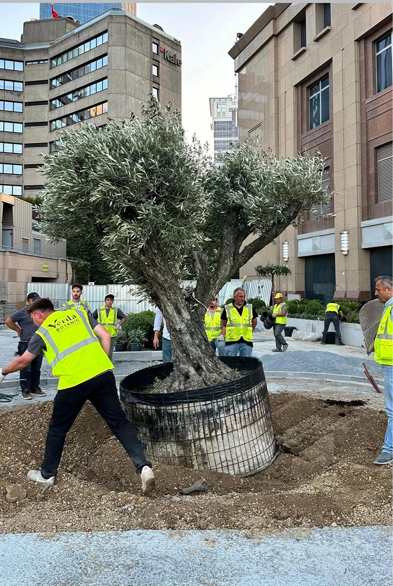 İş Kule Peyzaj Uygulama Renovasyon Projesi — 3