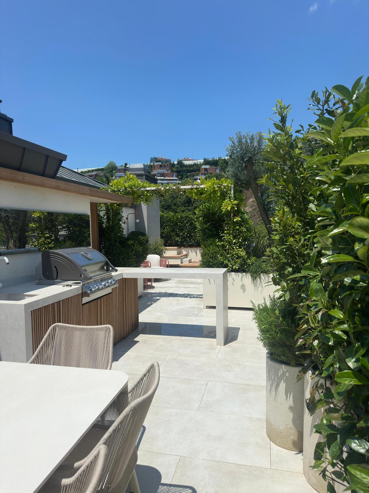 Mesa Orman — 5