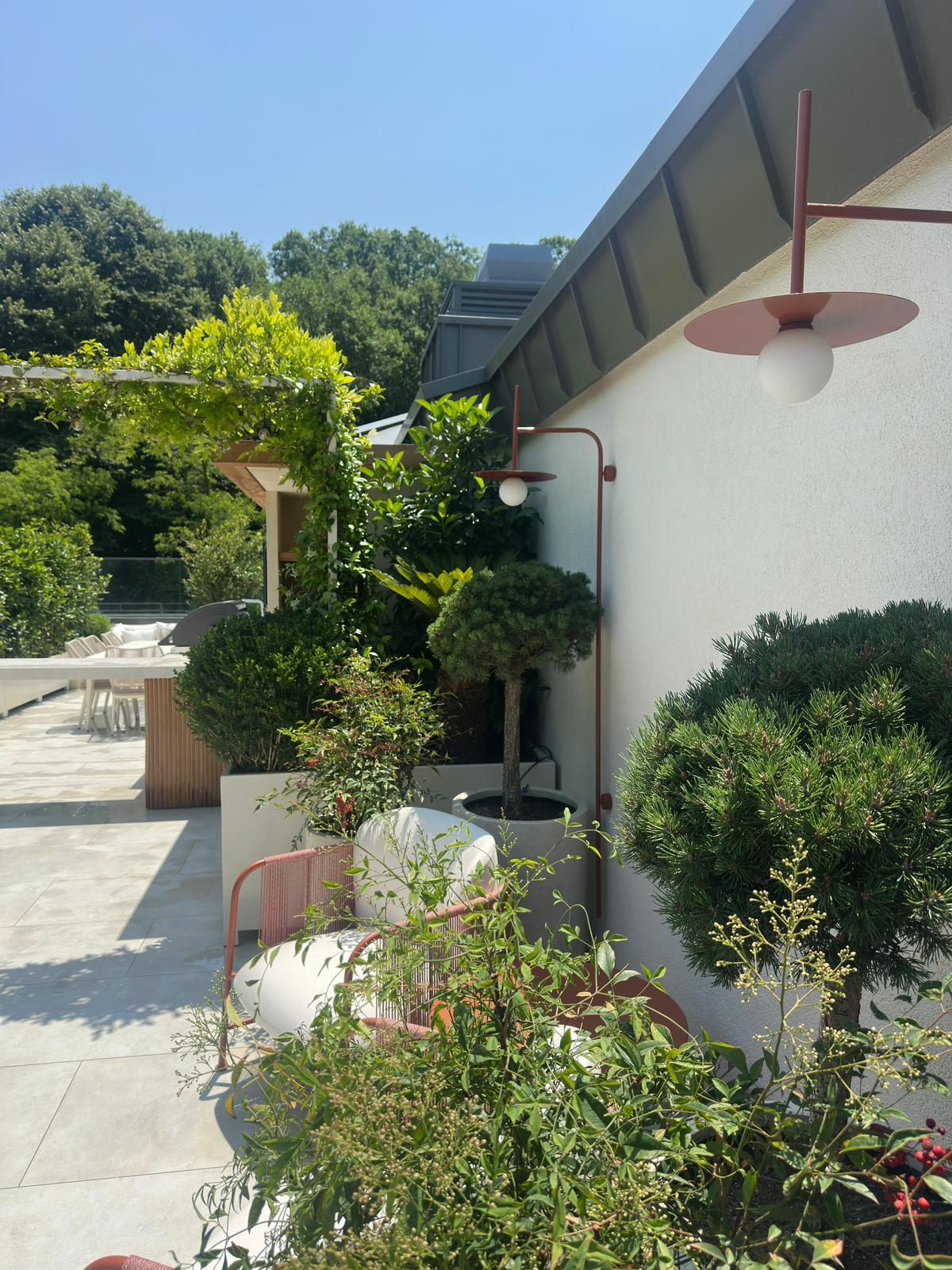 Mesa Orman — 6