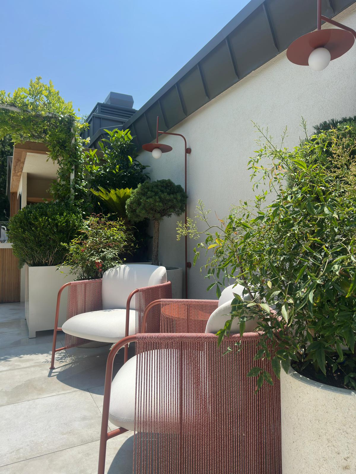 Mesa Orman — 8
