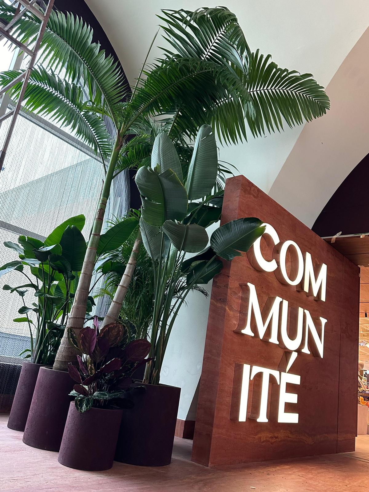 COMMUNİTE İstinye — 6